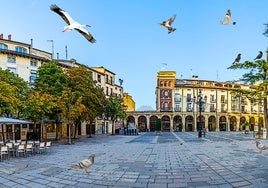 Las alas que sacuden los cielos de las ciudades