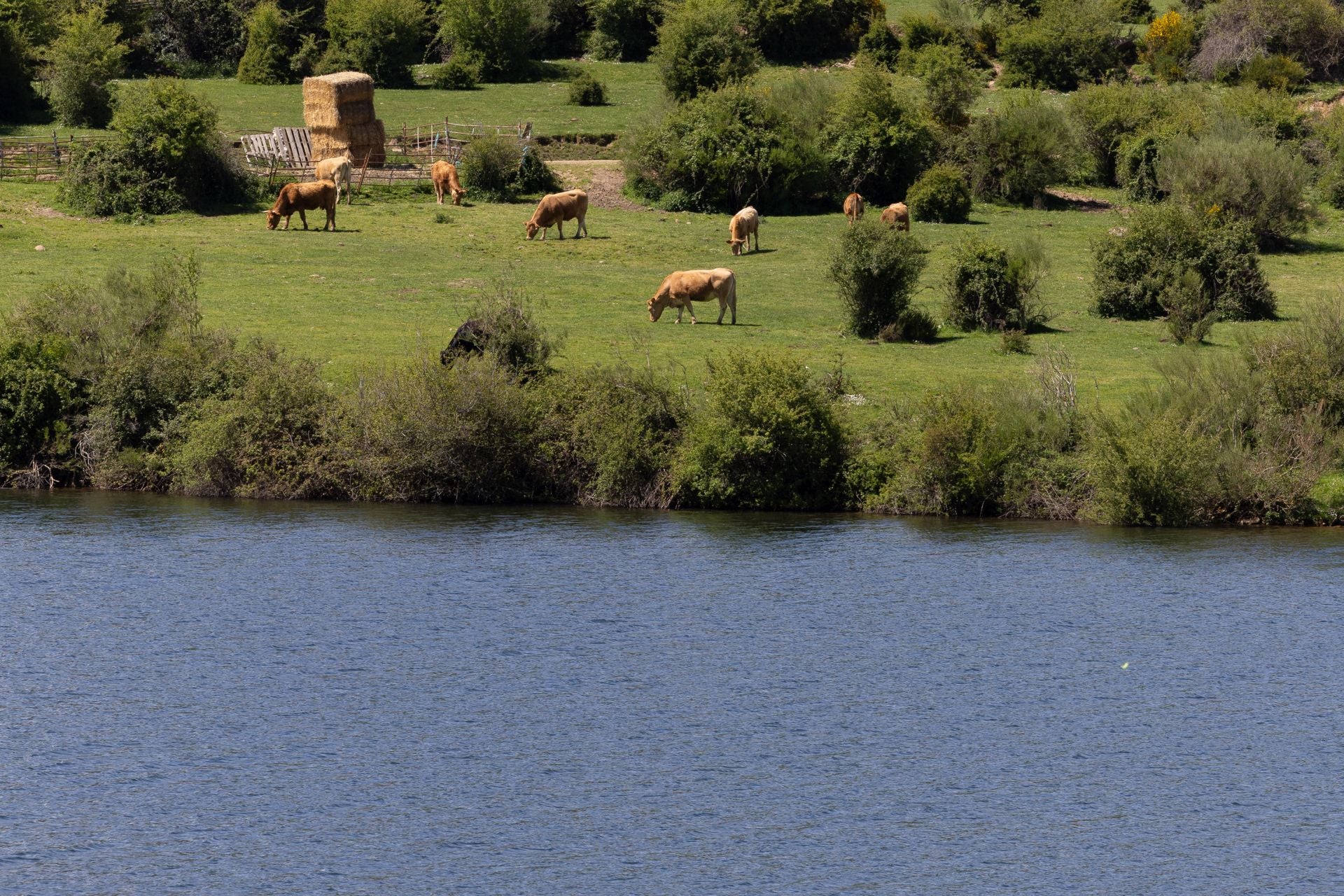 Pajares ha perdido el lleno que lucía desde hace más de dos meses.