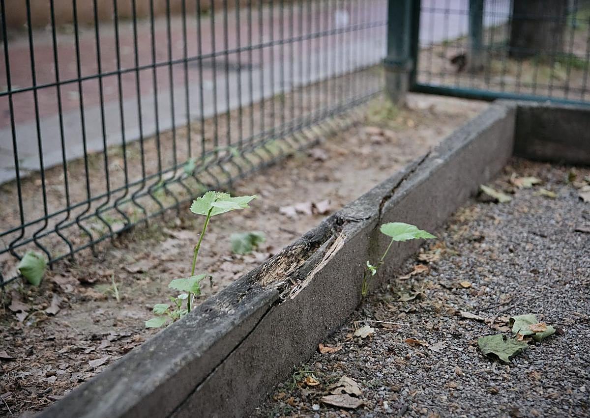 Imagen secundaria 1 - Las Chiribitas reivindica mejoras en sus pistas de petanca