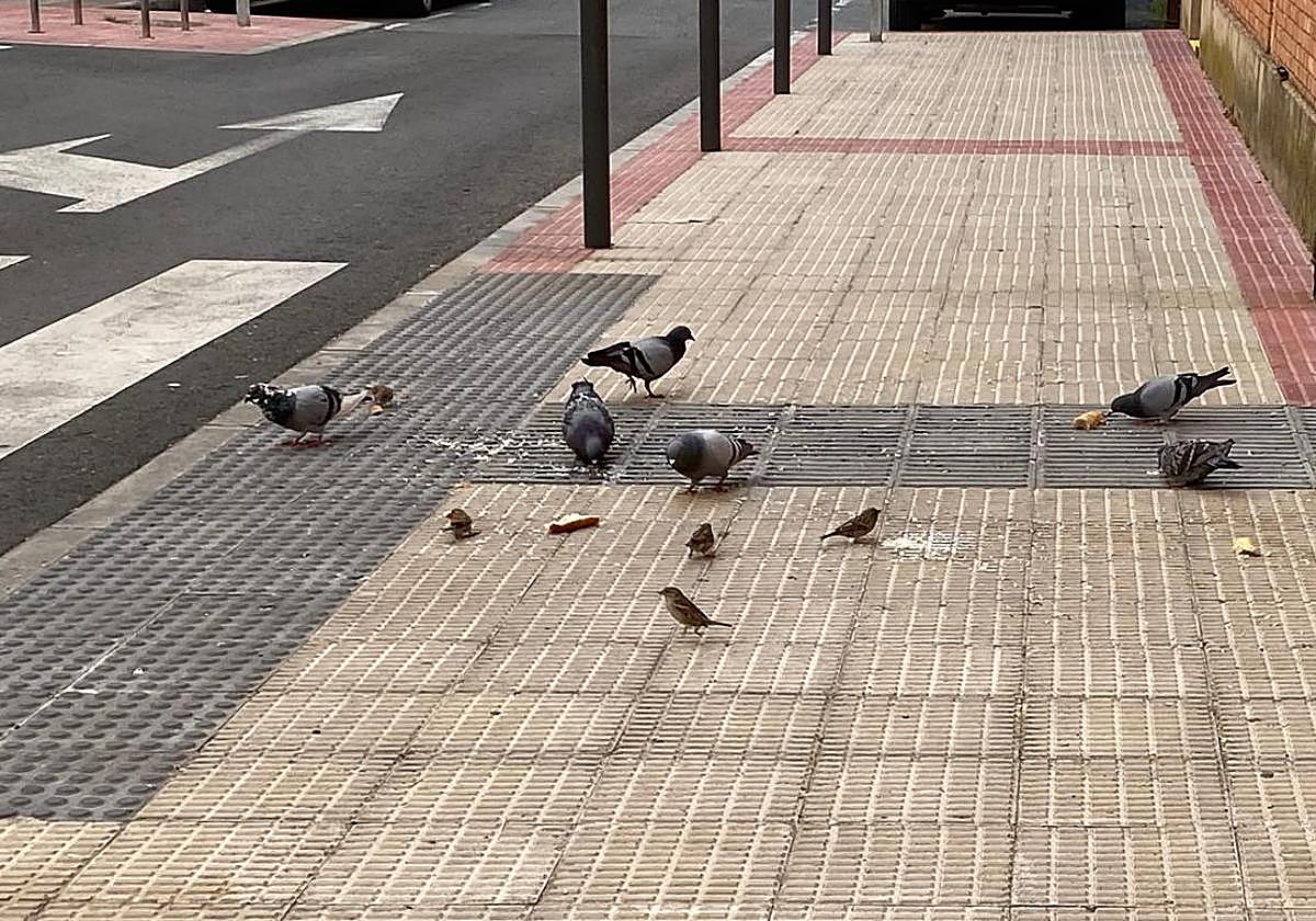 El Teléfono del Lector de hoy