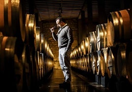 Julio Sáenz, catando vinos de barricas.
