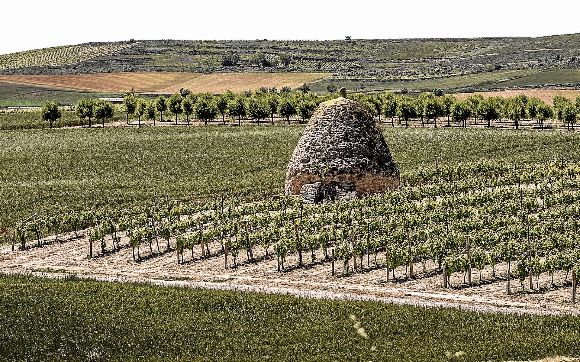 Agro. La huerta corre peligro de extinción