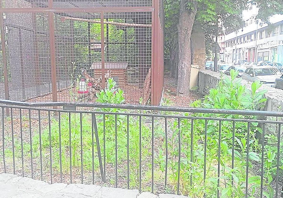 El mal estado de algunas zonas verdes, hoy en La Guindilla.