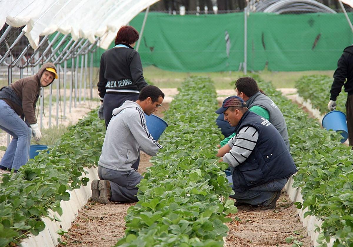 Un grupo de trabajadores extranjeros, en una imagen de archivo.