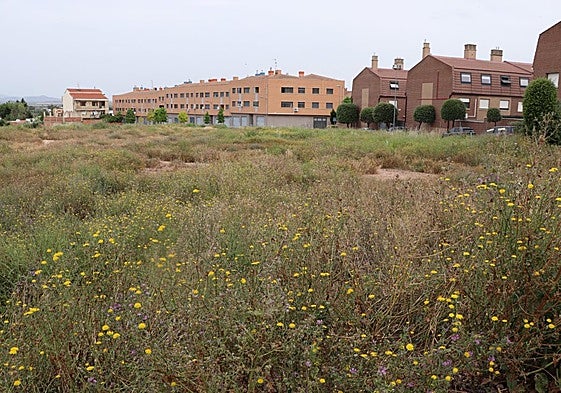 Los propietarios de solares urbanos tienen hasta el 15 de junio para realizar su limpieza.