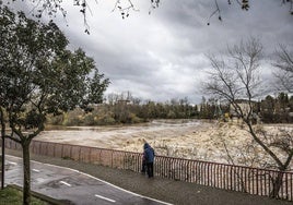 El Ebro, bravo, durante el mes de diciembre a su paso por la zona de la central minihidroeléctrica de Logroño
