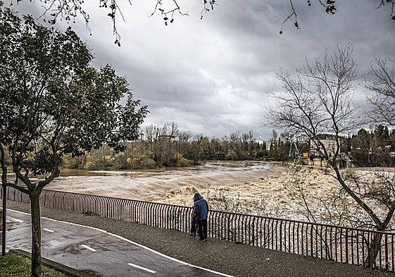 El Ebro, bravo, durante el mes de diciembre a su paso por la zona de la central minihidroeléctrica de Logroño