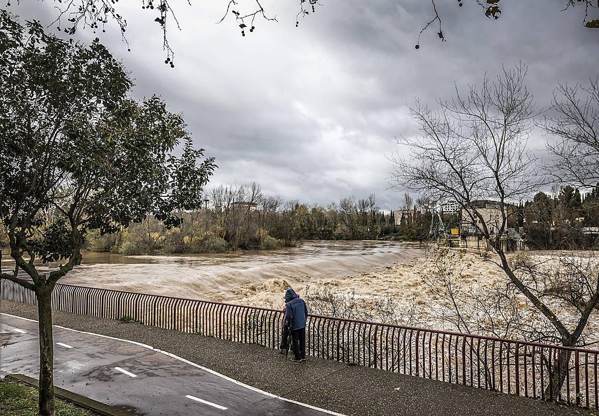 El Ebro, bravo, durante el mes de diciembre a su paso por la zona de la central minihidroeléctrica de Logroño