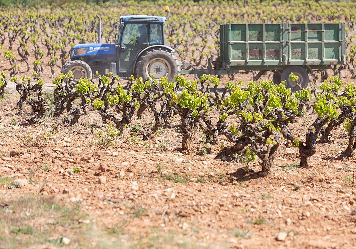 Imagen de archivo de un tractor en La Rioja.