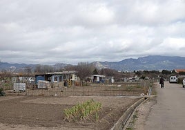 Un venajo puede ser una de las zonas de riesgo para la propagación del mosquito tigre en Haro.