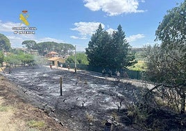 Imagen del incendio que afectó el pasado verano a una huerta en el Camino Cienta.