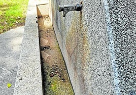 El Teléfono del lector