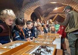 Un taller en Quel Xperience de 2024 en uno de los calados del Barrio de las Bodegas.