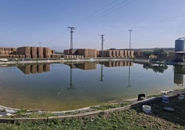La balsa de riego de la empresa en la que fue hallado el cadáver.