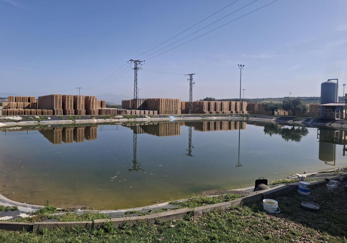 La balsa de riego de la empresa en la que fue hallado el cadáver.