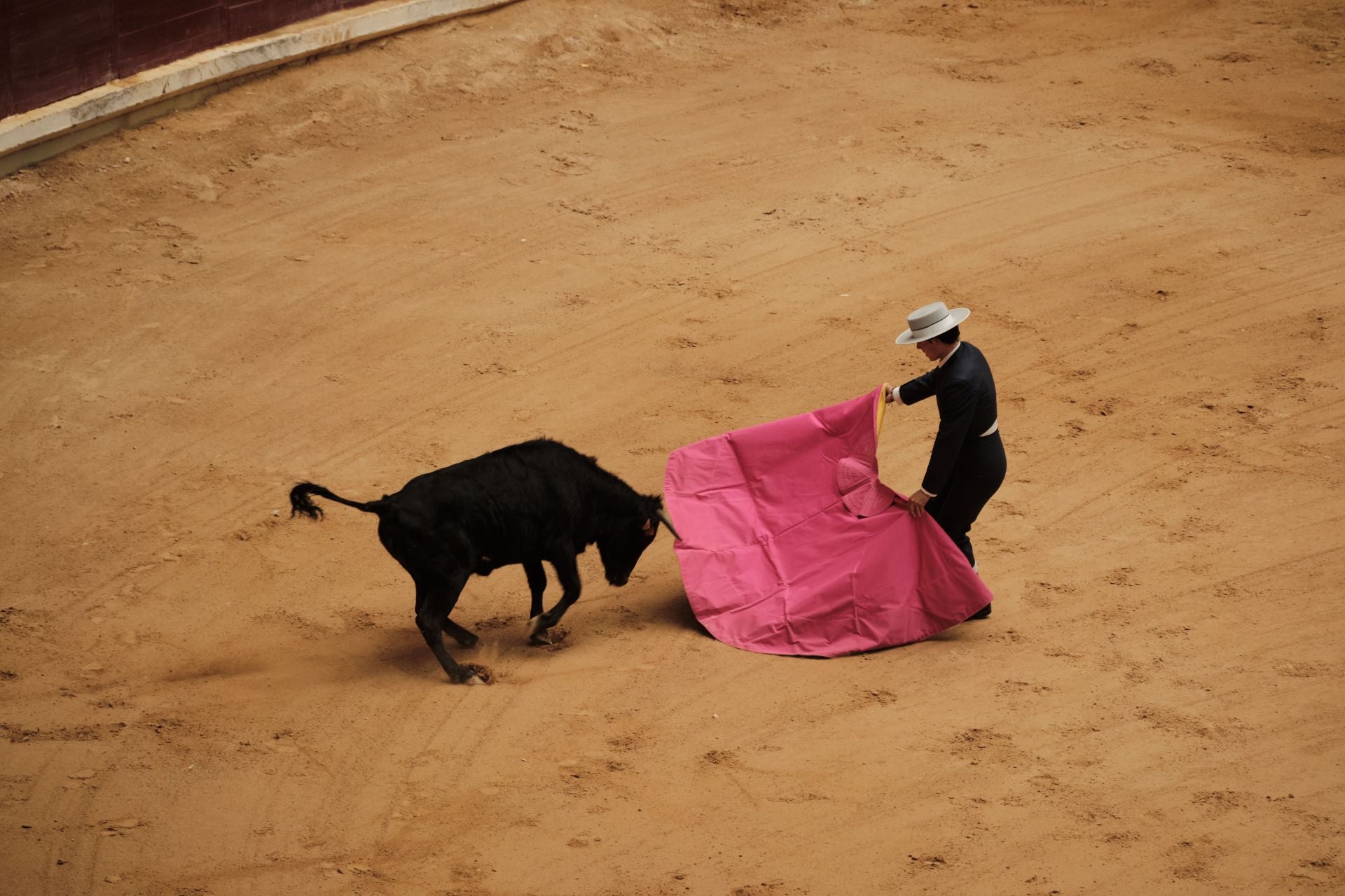 Festejo taurino en cumplimiento del voto de San Bernabé