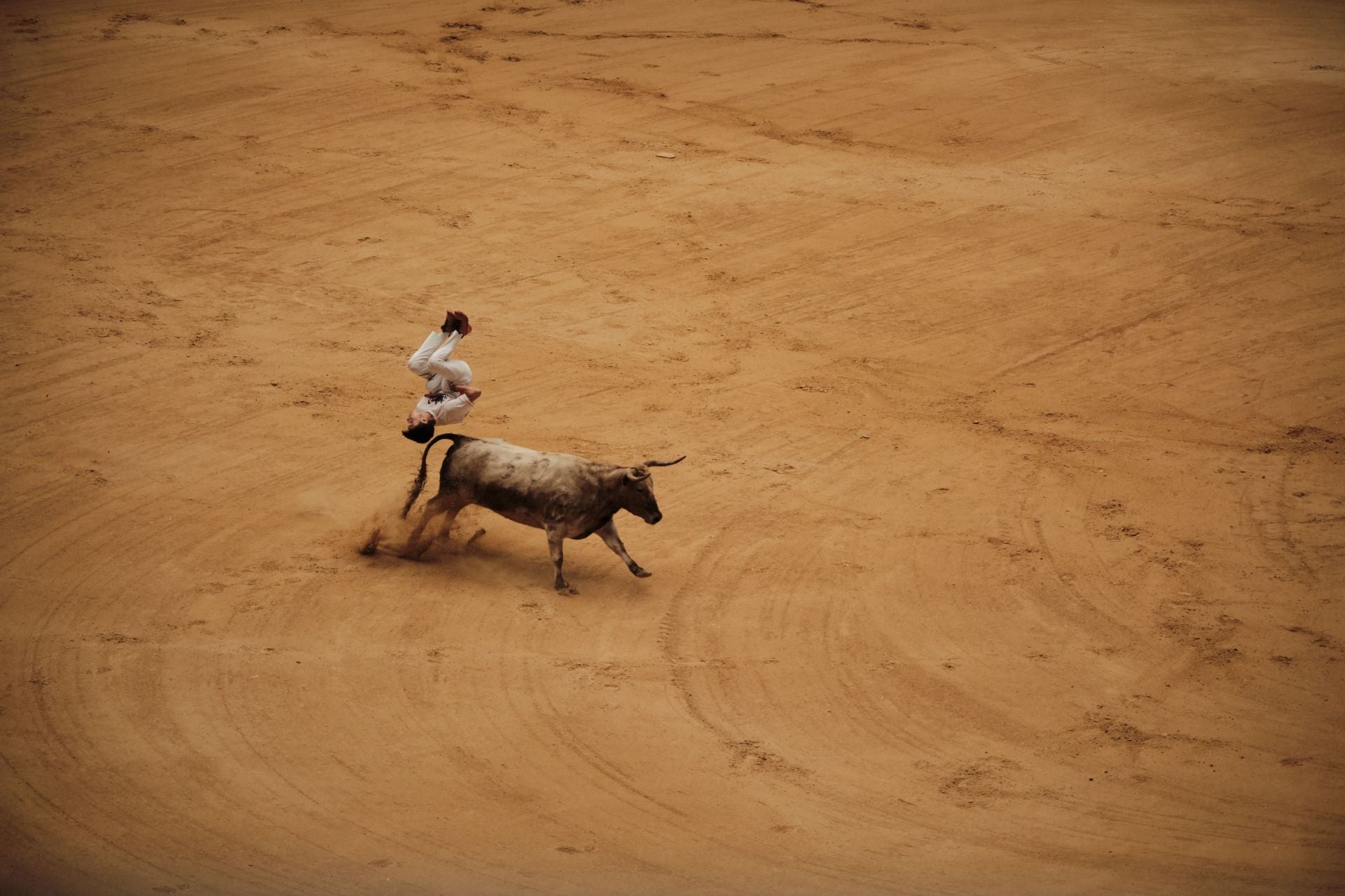 Festejo taurino en cumplimiento del voto de San Bernabé