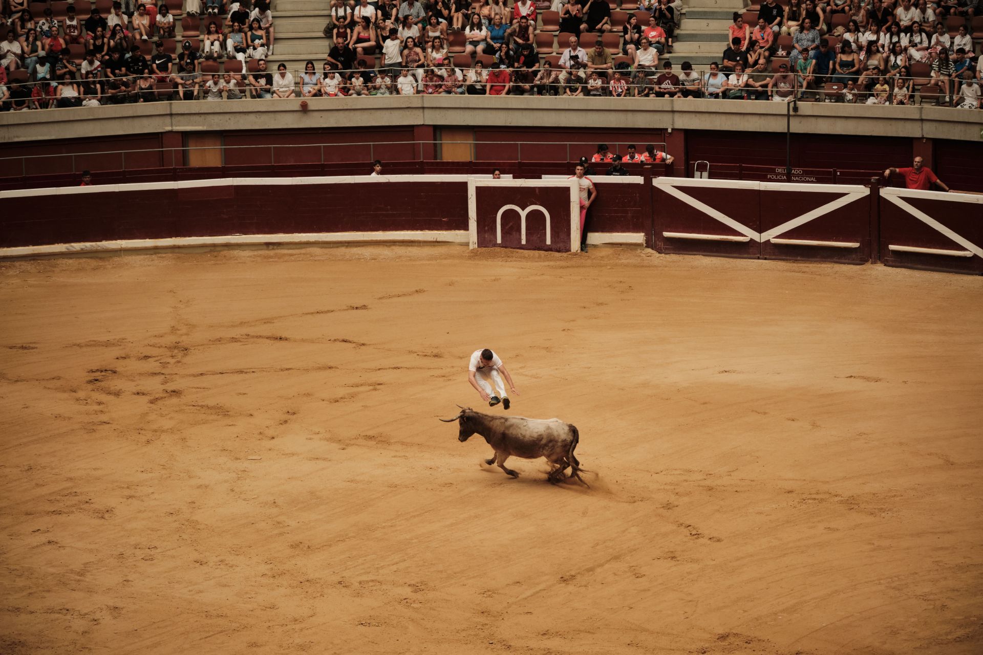 Festejo taurino en cumplimiento del voto de San Bernabé