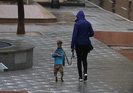 El tiempo en La Rioja este miércoles: chubascos y tormentas localmente fuertes
