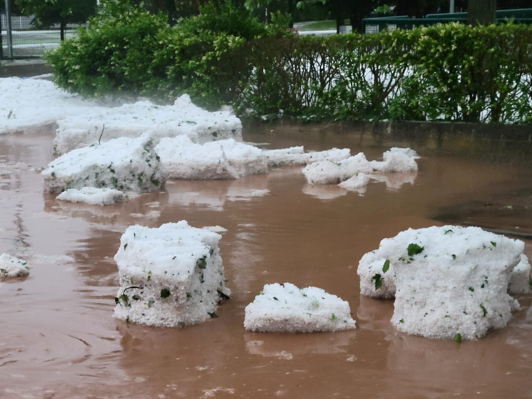 Las imágenes de la tormenta en Navarrete