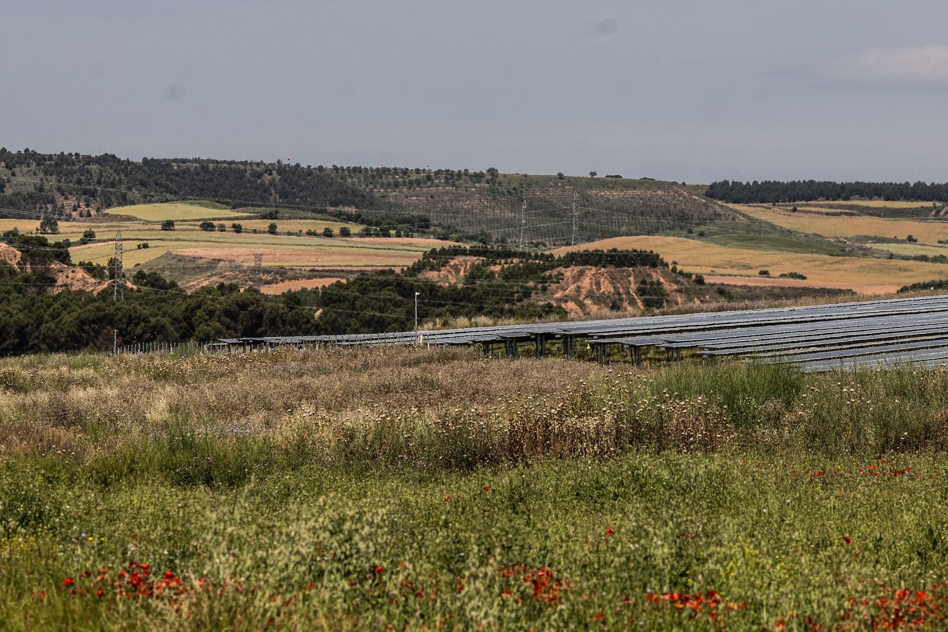 Vista panorámica con el paraje Corral de Marrones al fondo y en primer término otro parque solar.
