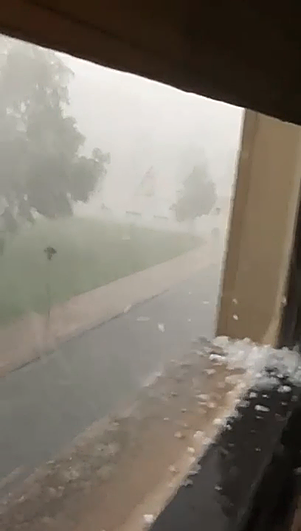 Vídeo | La granizada en el parque Picos de Urbión