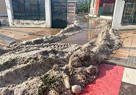 Bloques de hielo formados en el colegio de Navarrete tras el temporal de este miércoles.
