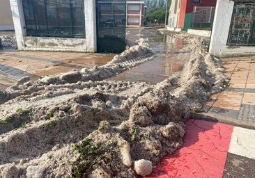 Navarrete comienza a evaluar los daños tras una granizada «sin precedentes»