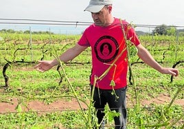 El agricultor navarretano Daniel Martínez muestra los daños en una de sus fincas.