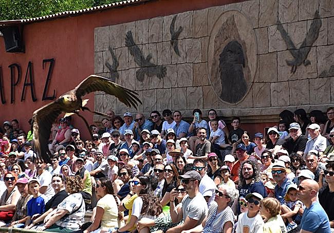 El público llenó ayer las gradas del parque calagurritano.