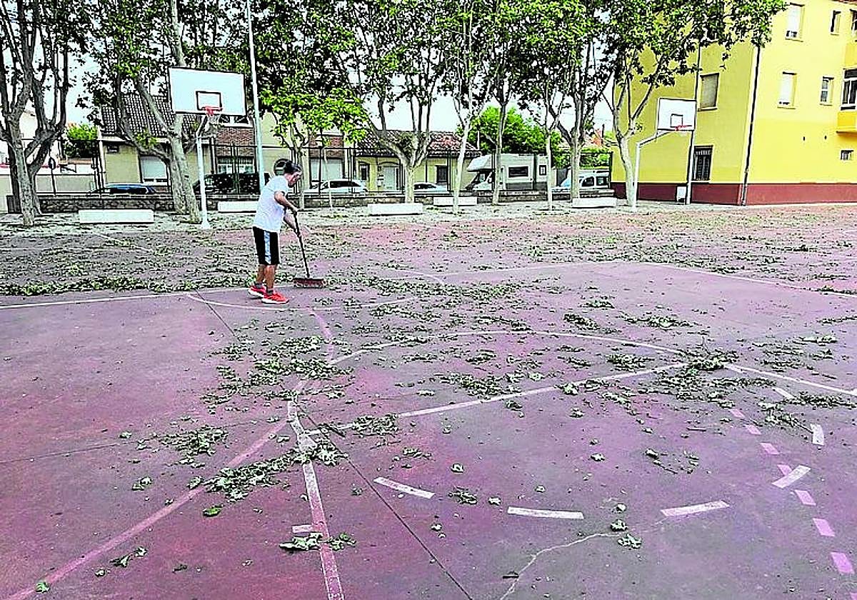 Una pista «llena de ramas y de hojas» en el barrio de Yagüe, hoy en La Guindilla