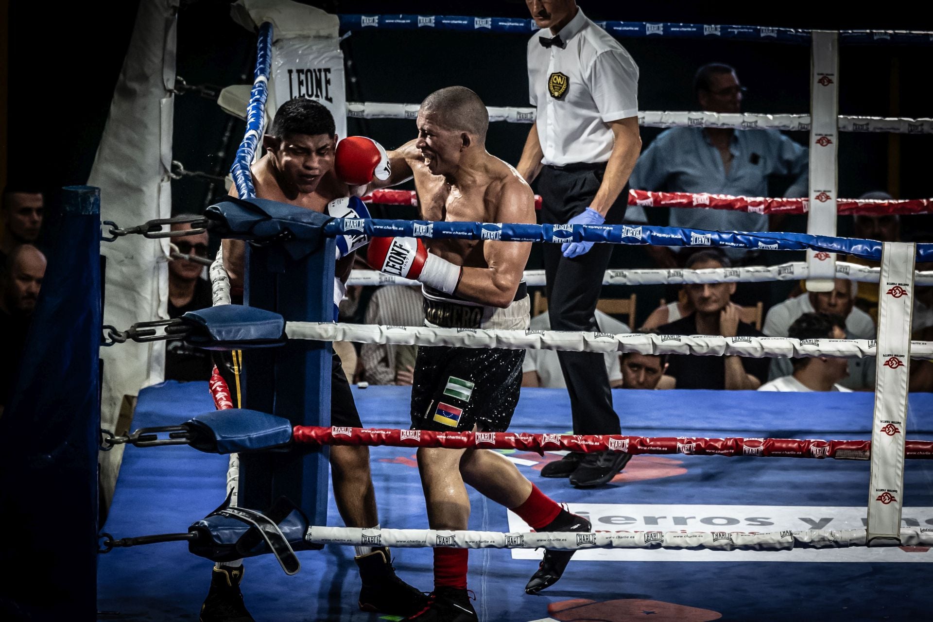 Una noche de boxeo en Las Gaunas