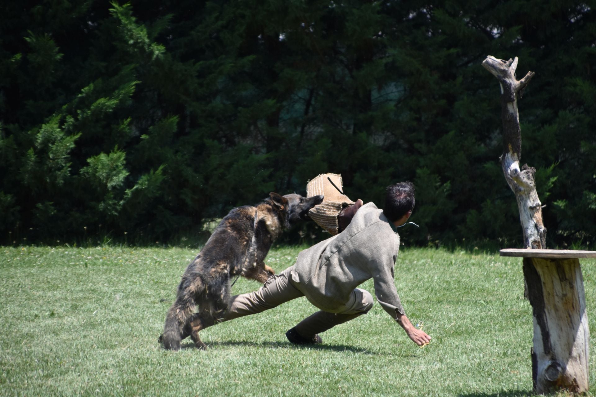 La segunda edición de &#039;Águilas de Roma&#039;, en imágenes