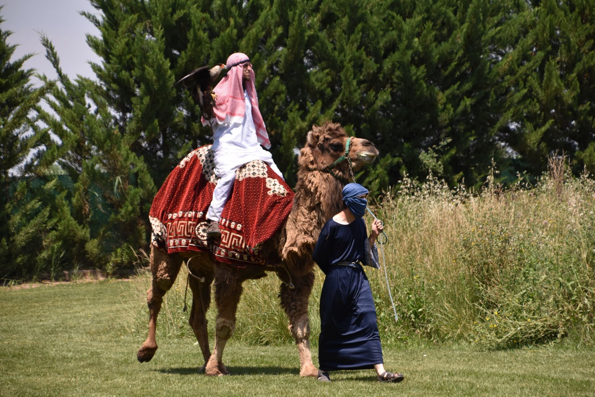 La segunda edición de &#039;Águilas de Roma&#039;, en imágenes