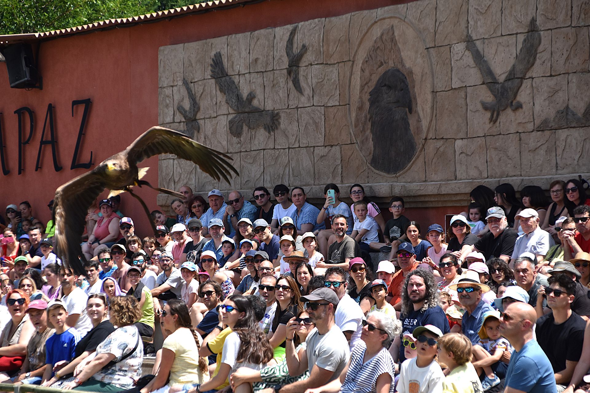 La segunda edición de &#039;Águilas de Roma&#039;, en imágenes