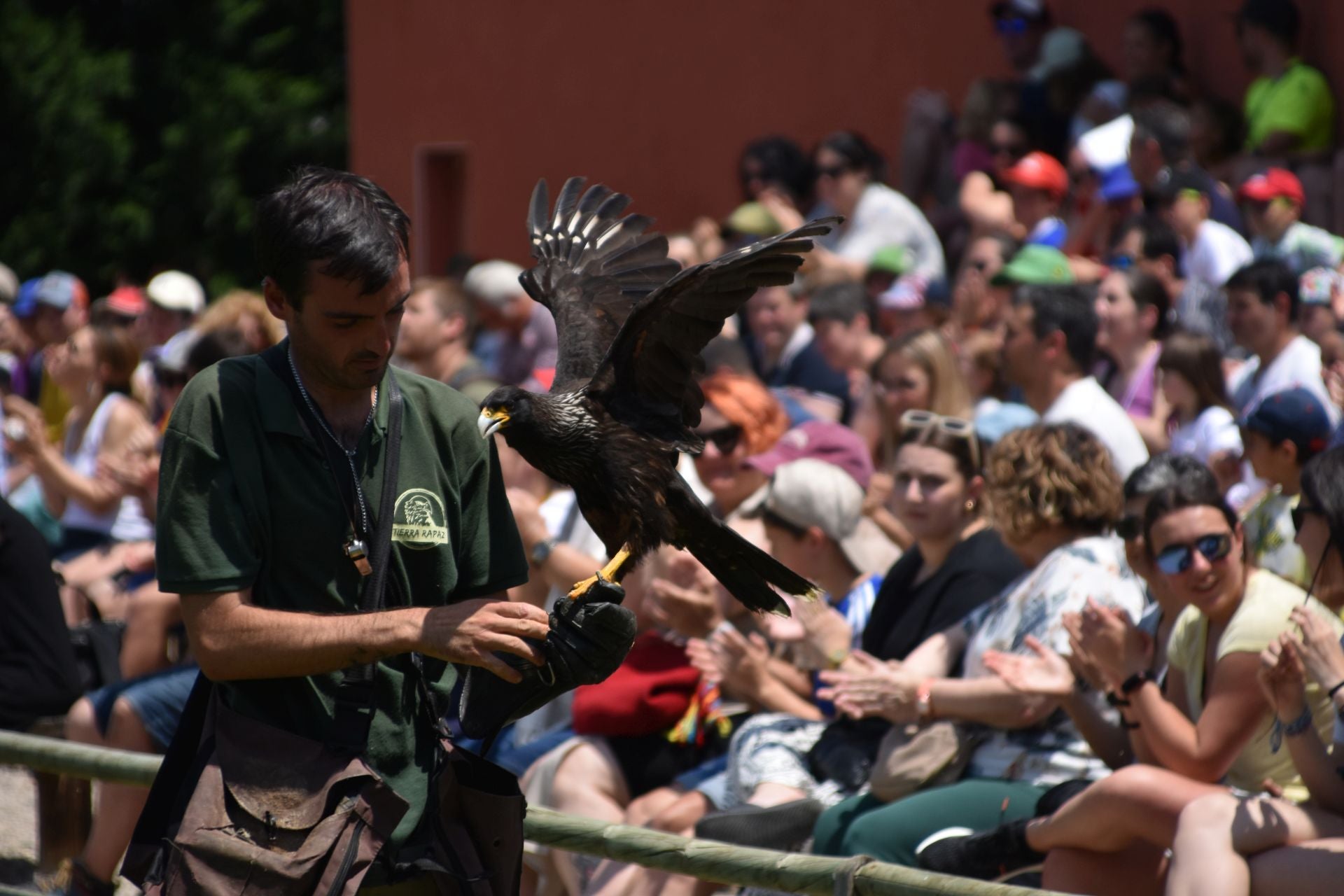 La segunda edición de &#039;Águilas de Roma&#039;, en imágenes