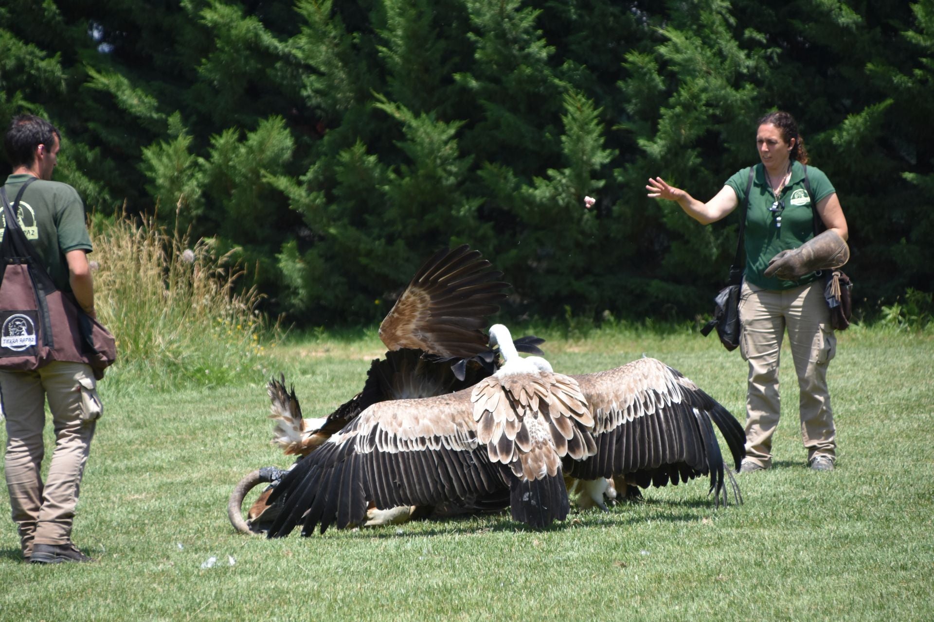 La segunda edición de &#039;Águilas de Roma&#039;, en imágenes
