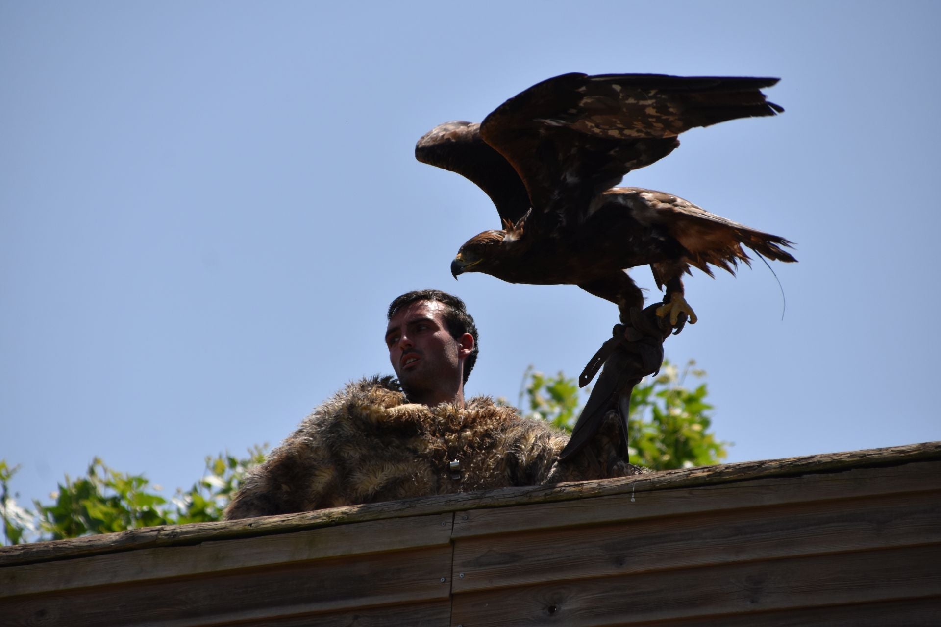 La segunda edición de &#039;Águilas de Roma&#039;, en imágenes