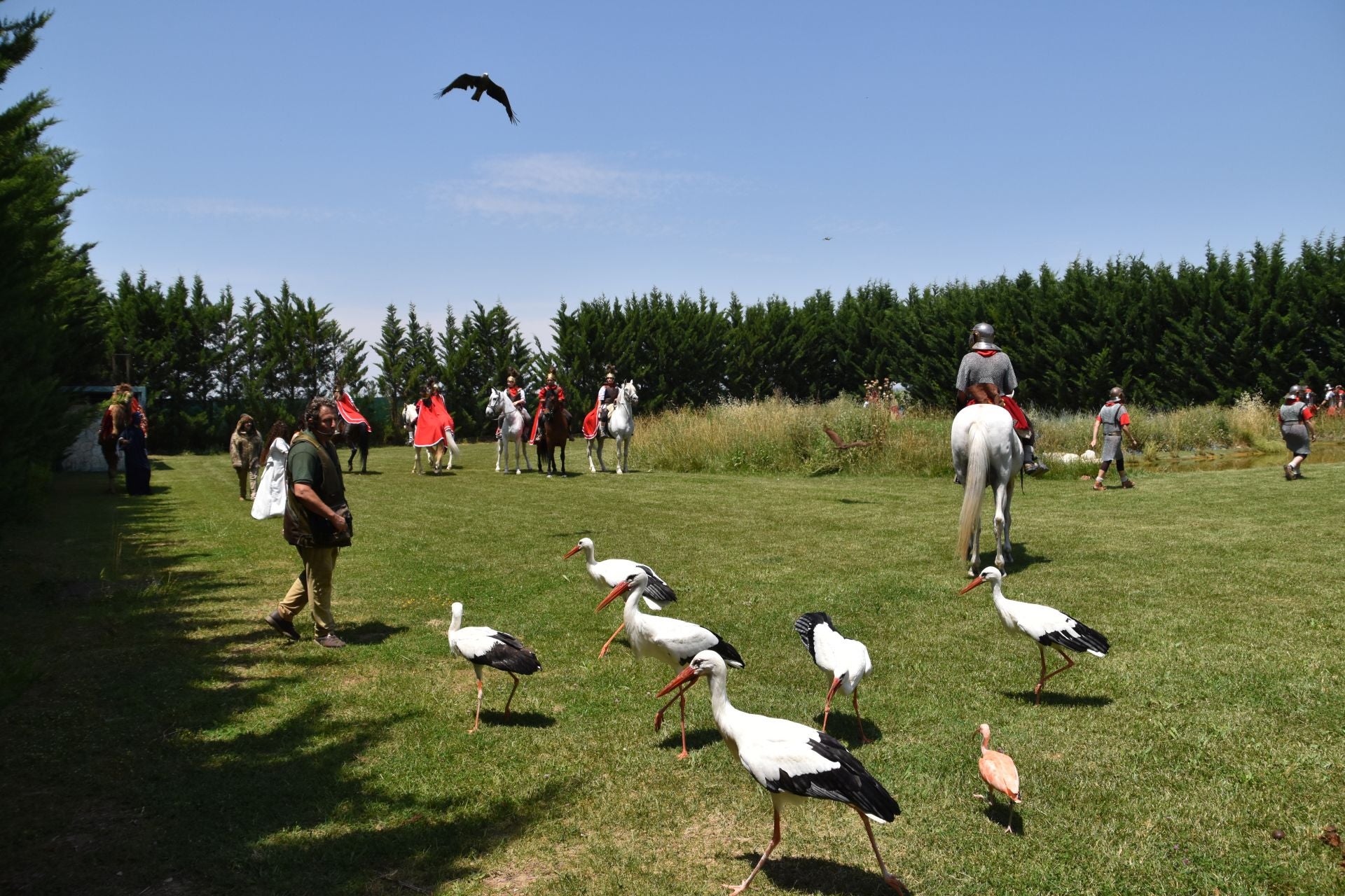 La segunda edición de &#039;Águilas de Roma&#039;, en imágenes