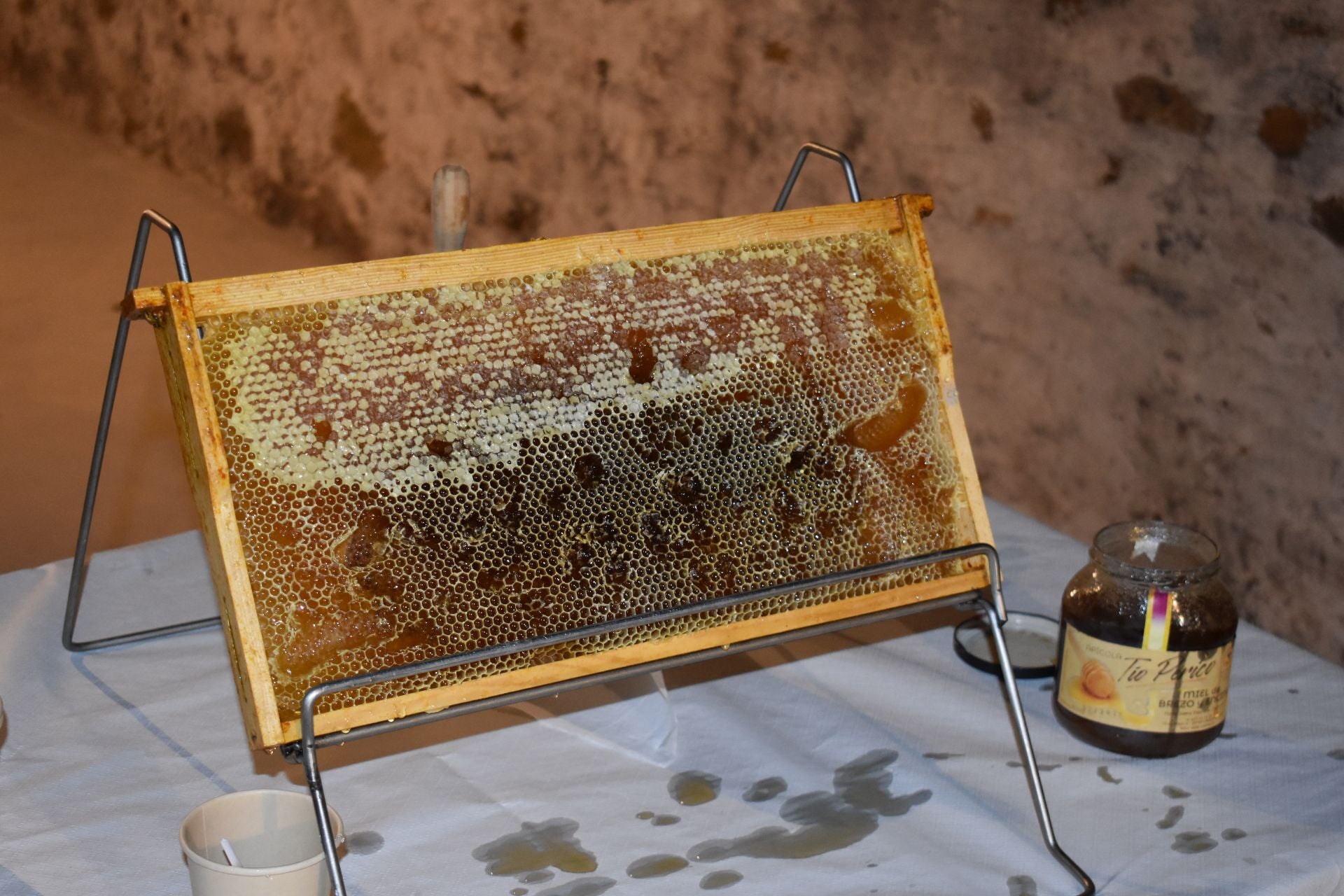 Las imágenes de las jornadas de divulgación científica Quel Xperience