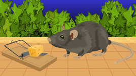 Las quejas vecinales por ratas, la otra plaga que no cesa en Logroño