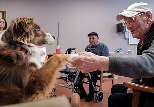 Poloki le da la pata a un usuario de la residencia El Sol.