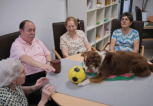 La perra Poliki juega a la pelota con una usuaria del centro de día de Gonzalo de Berceo.