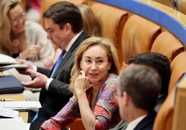 La consejera de Salud, María Martín, este jueves en el Parlamento de La Rioja