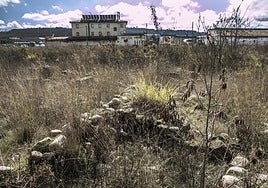 Restos de la Vareia romana dentro de la parcela de las antiguas Carrocerías Ugarte en una imagen del 2023, antes de su venta.
