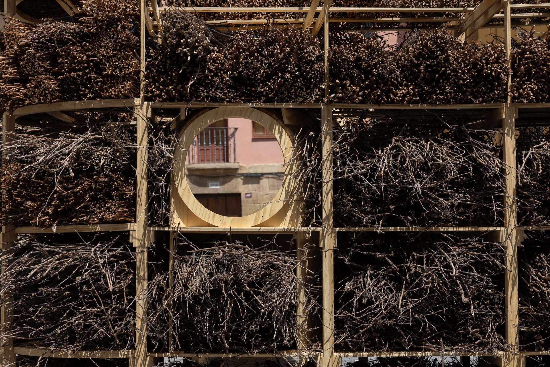 Las imágenes de Concéntrico