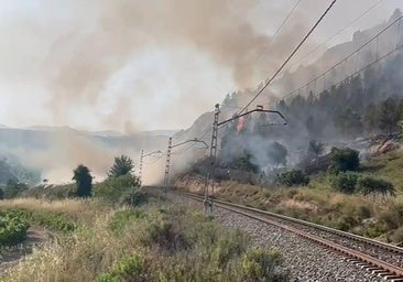 Un tren que circulaba con los frenos puestos provocó los incendios de ayer en varios puntos de Fuenmayor, Cenicero y El Cortijo