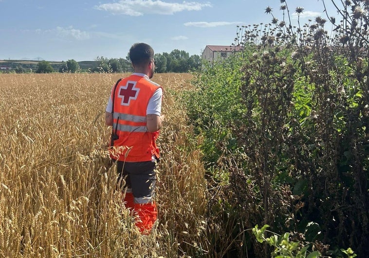 Prosigue la búsqueda de la joven que desapareció el sábado en Haro con sus dos perros