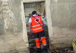 Prosigue la búsqueda de la joven que desapareció el sábado en Haro con sus dos perros