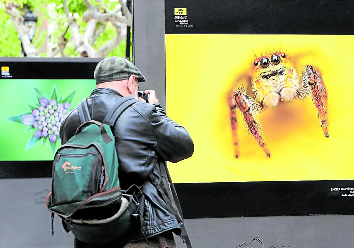 La exposición puede verse en la plaza del Ayuntamiento de Ezcaray hasta el 14 de julio.